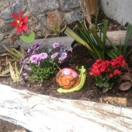 Nemesis Paleochora Chrissi Akti Chania Exterior foto