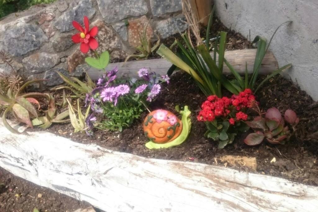 Nemesis Paleochora Chrissi Akti Chania Exterior foto
