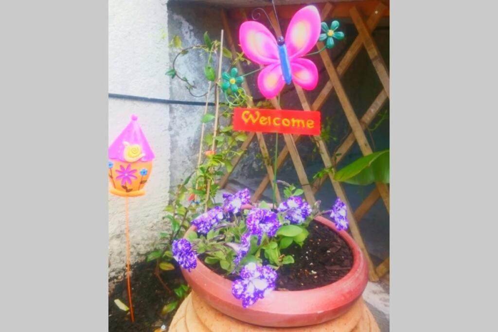 Nemesis Paleochora Chrissi Akti Chania Exterior foto